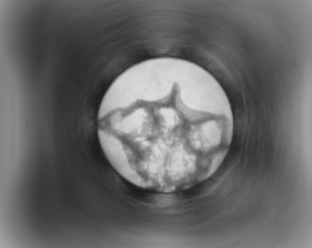 X0000093520085200711091747