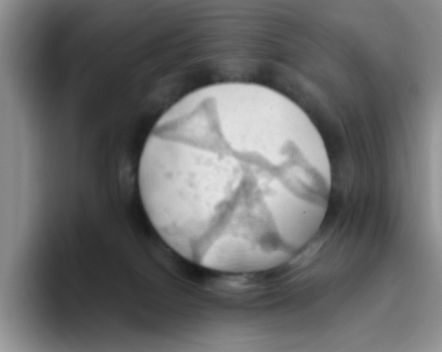 X0000093520086200711091747