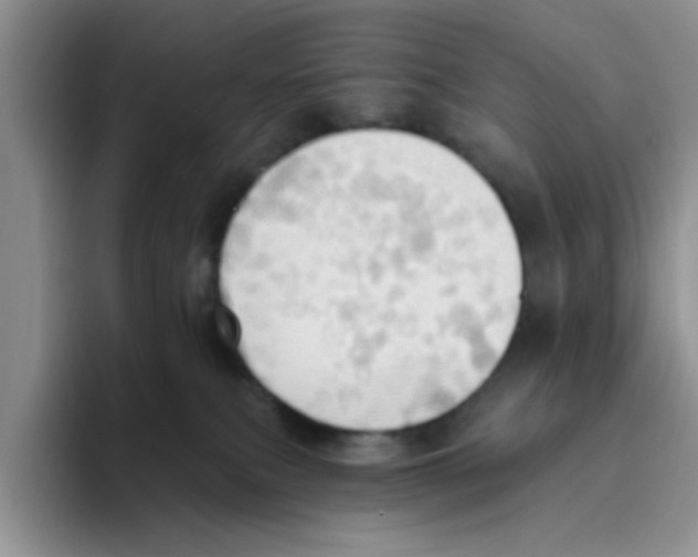 X0000093520087200711091747