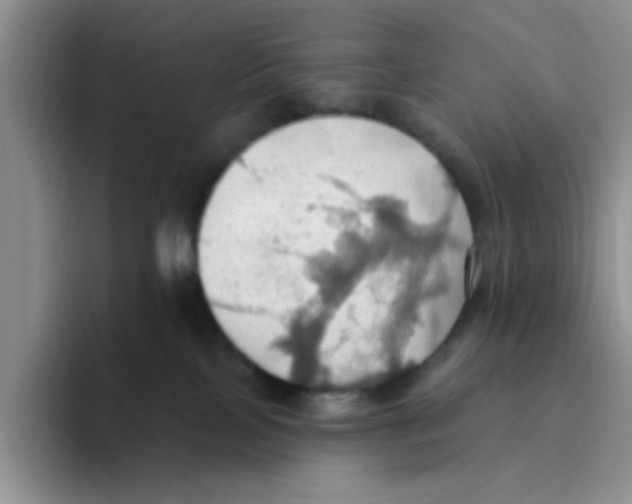 X0000093520089200711091747