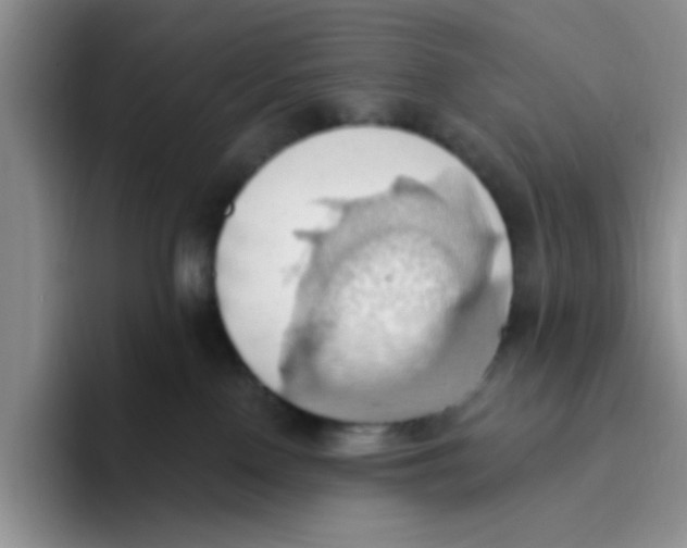 X0000093520090200711091747