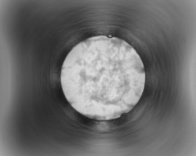 X0000093520091200711091747