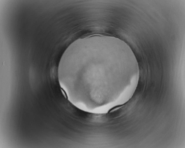 X0000093520093200711091747