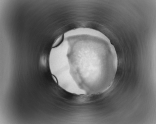 X0000093520094200711091747