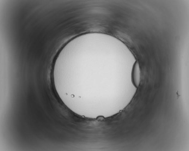 X0000093520098200711091746