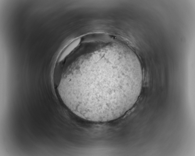 X0000093520099200711091746