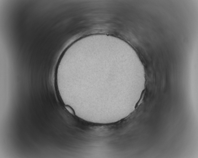 X0000093520100200711091746