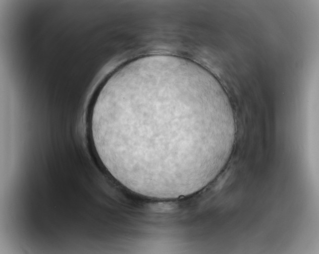 X0000093520102200711091746