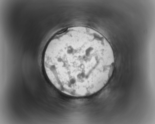 X0000093520103200711091746