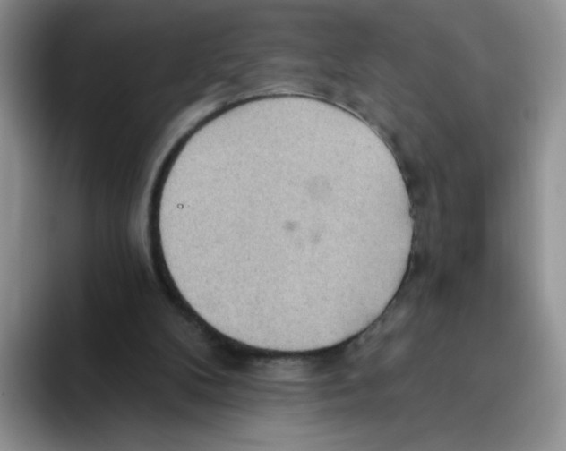 X0000093520104200711091746