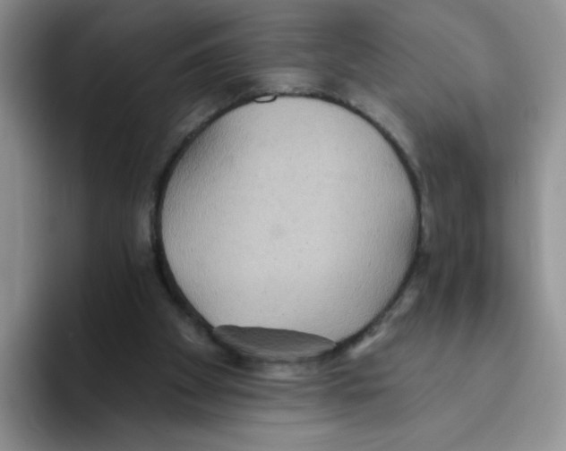 X0000093520105200711091746