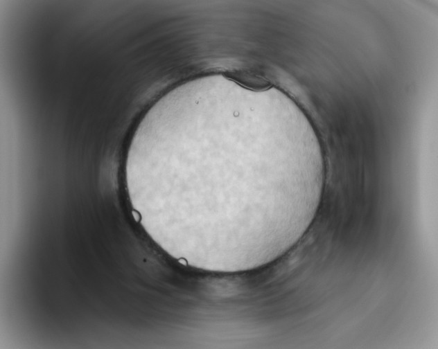 X0000093520106200711091746