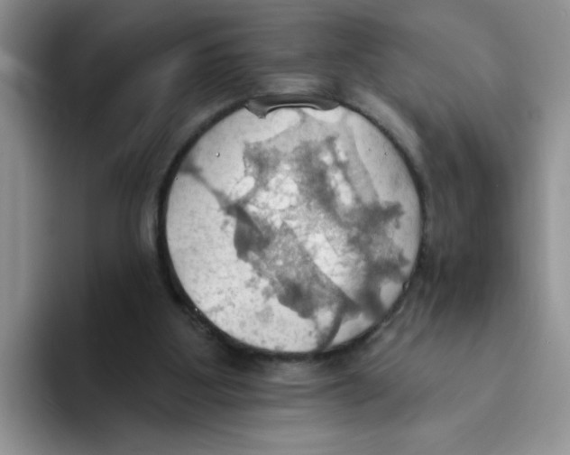 X0000093520107200711091746