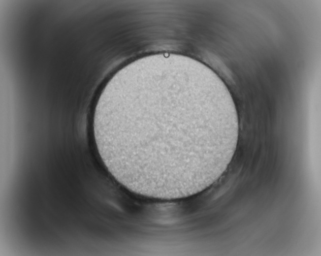 X0000093520108200711091746