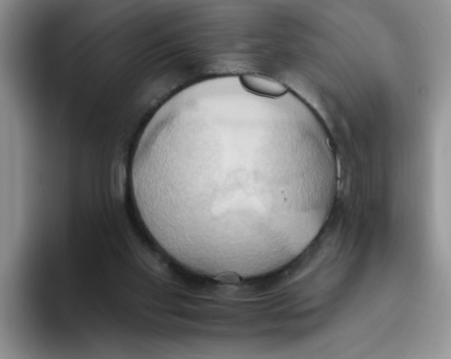 X0000093520109200711091746