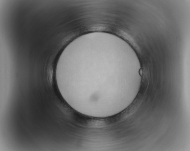 X0000093520110200711091746