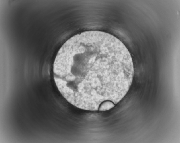 X0000093520115200711091746