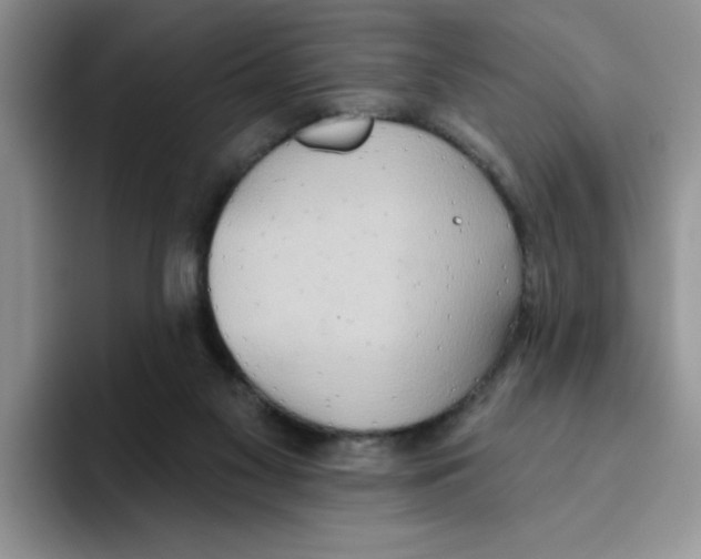 X0000093520117200711091746