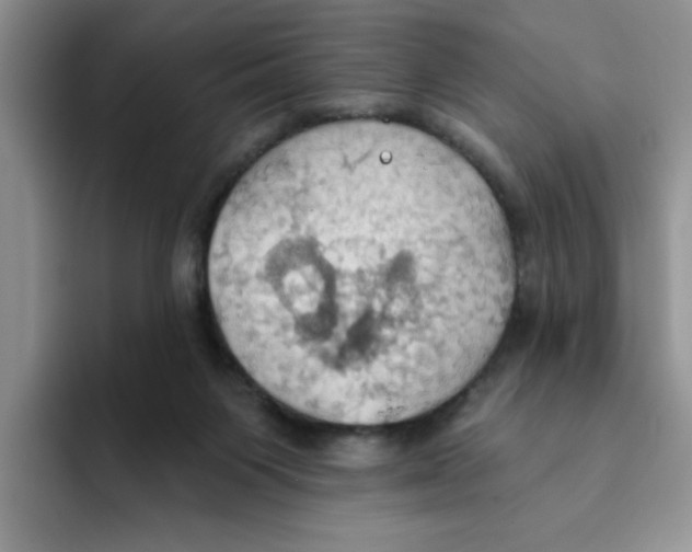 X0000093520119200711091746