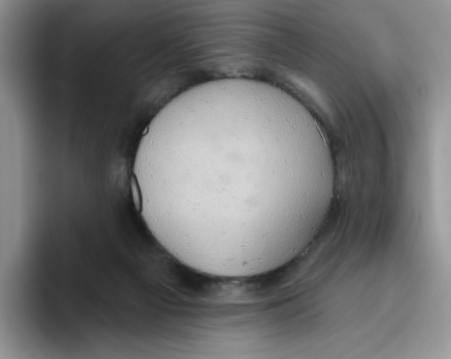 X0000093520121200711091746