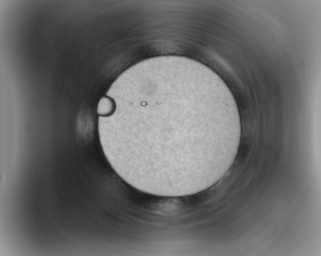 X0000093520124200711091746