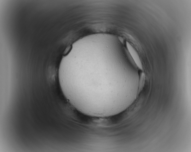 X0000093520125200711091746