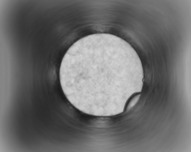 X0000093520128200711091746