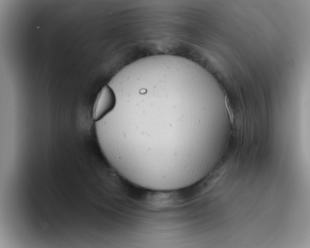 X0000093520129200711091746