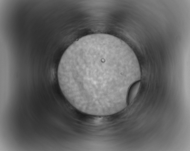 X0000093520130200711091746