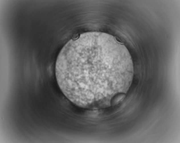 X0000093520131200711091746