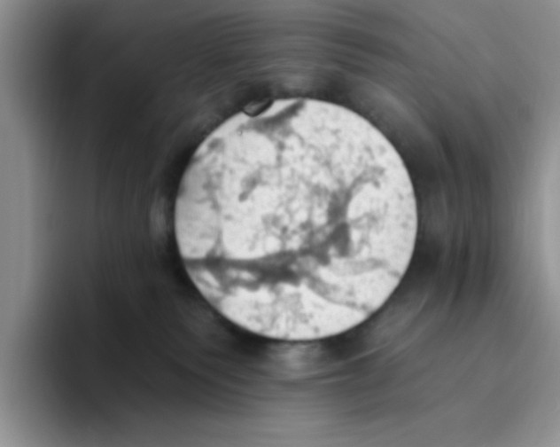 X0000093520135200711091746