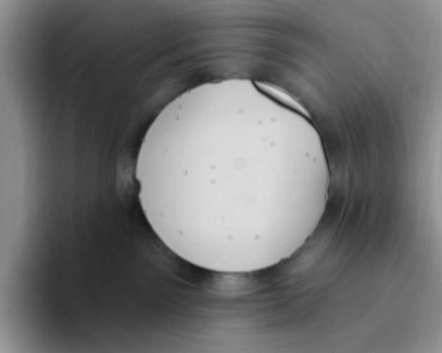 X0000093520141200711091746