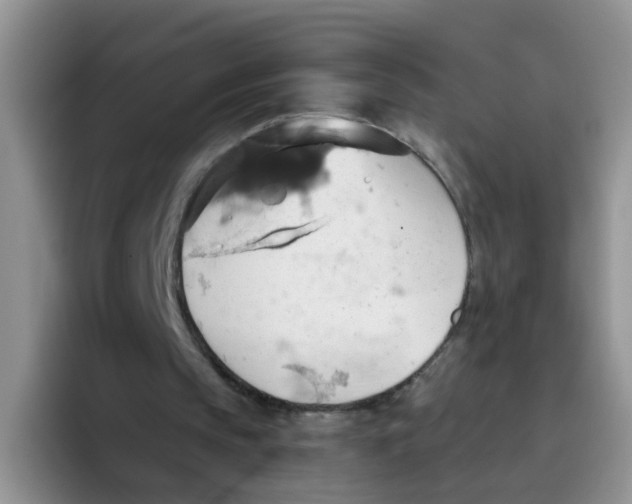 X0000093520145200711091745