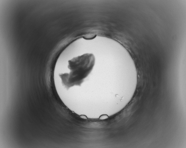 X0000093520149200711091745