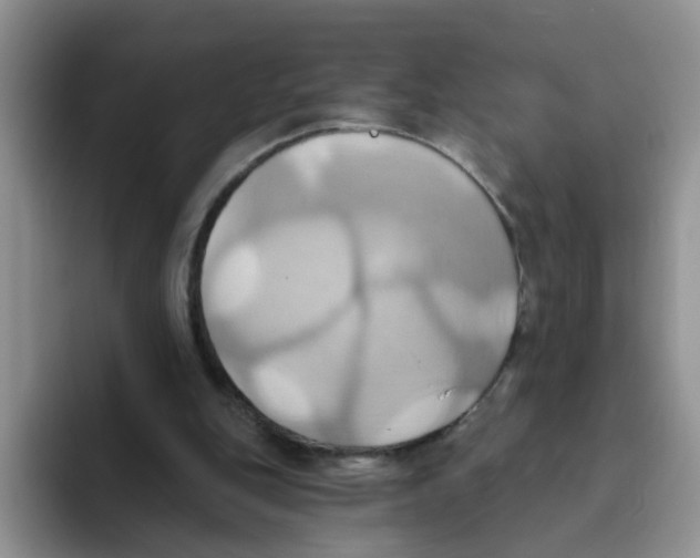 X0000093520151200711091745