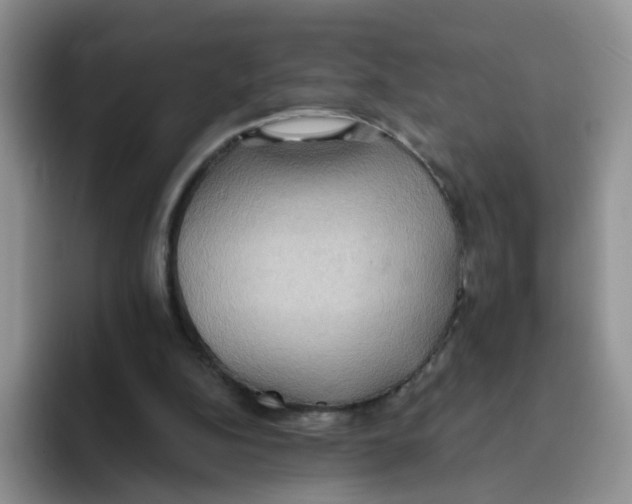 X0000093520152200711091745