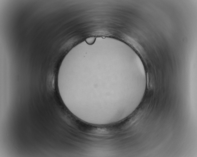 X0000093520157200711091746