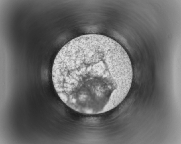 X0000093520161200711091746