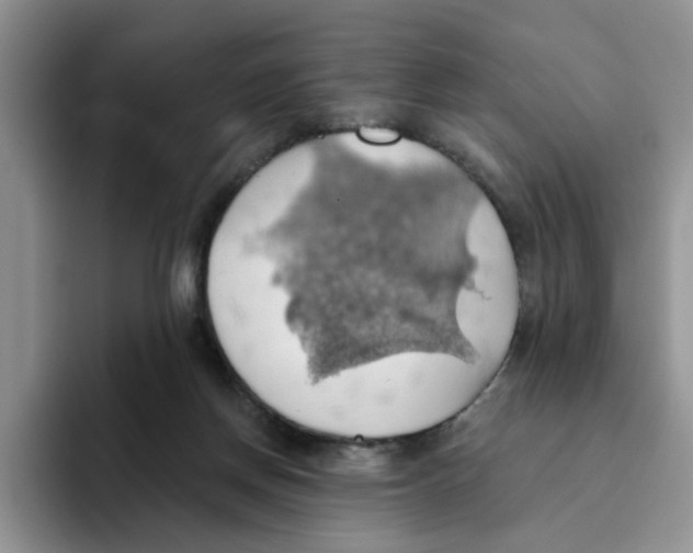 X0000093520166200711091746