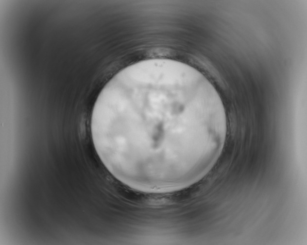 X0000093520169200711091746