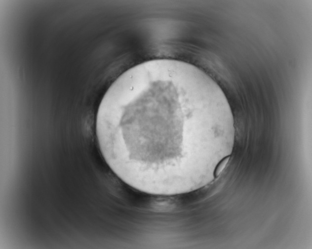 X0000093520175200711091746