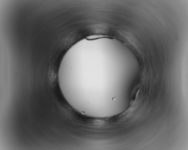 X0000093520176200711091746