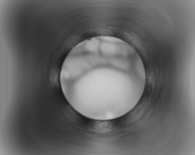 X0000093520185200711091746