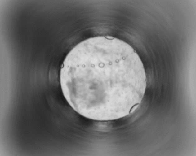 X0000093520187200711091746