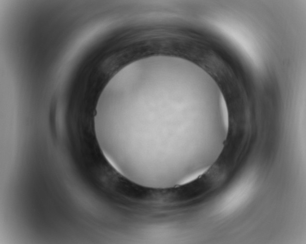 X0000093520189200711091746