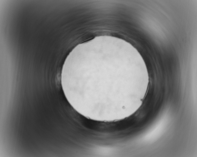 X0000093520190200711091746