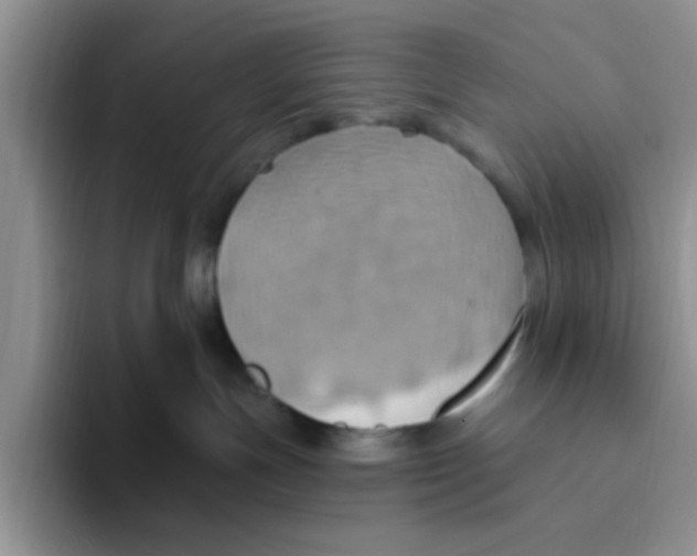 X0000093520191200711091746