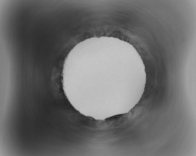 X0000093520192200711091746