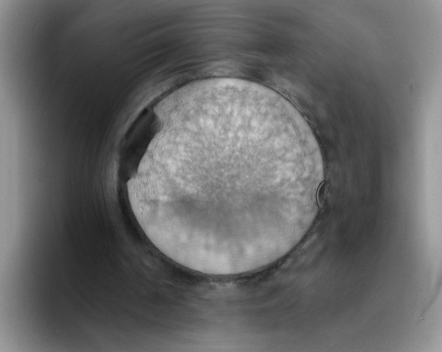 X0000093520194200711091745