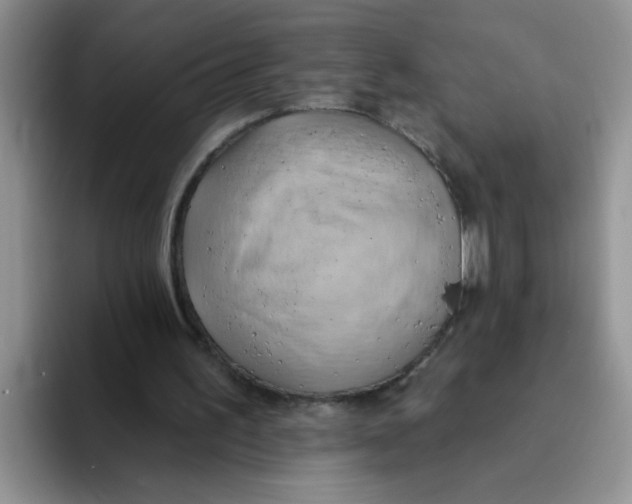 X0000093520195200711091745